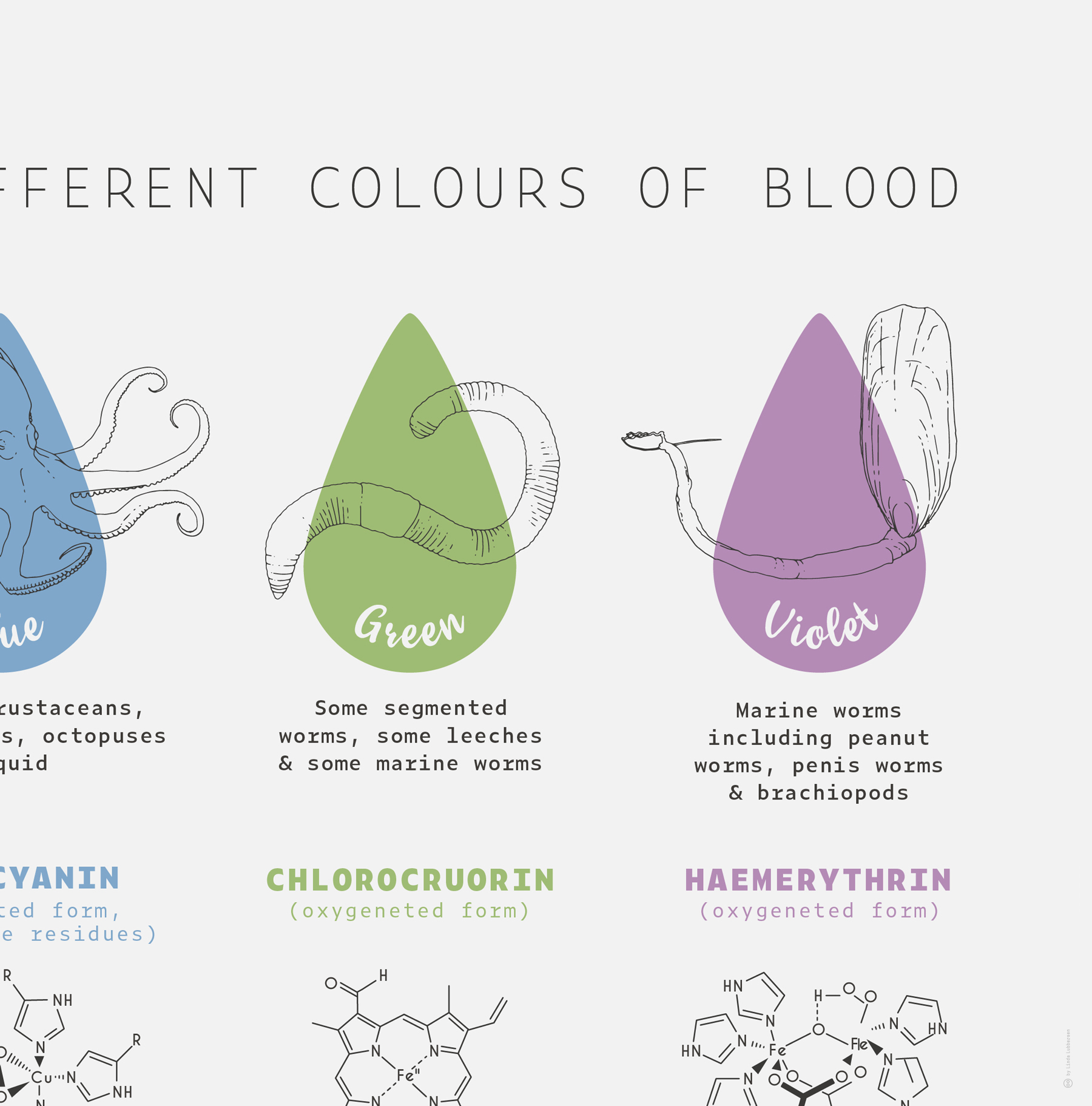 colours_of_blood_4